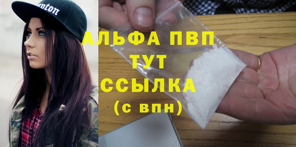 стафф Коряжма