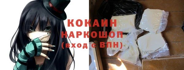 стафф Коряжма
