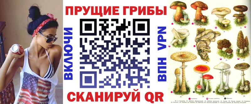 Купить где  Октябрьский  Галлюциногенные грибы Psilocybe 
