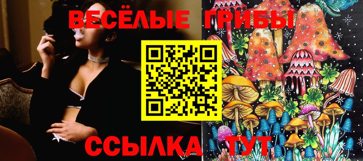 Галлюциногенные грибы MAGIC MUSHROOMS  Октябрьский 