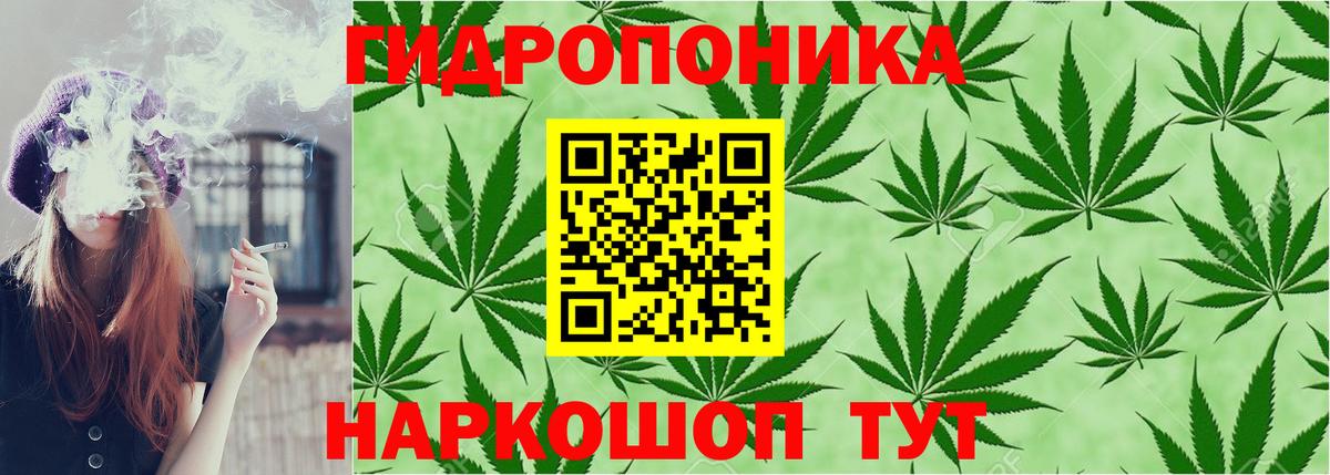 Марихуана гибрид  Марихуана гибрид  Бошки марихуана SATIVA & INDICA  Октябрьский  Марихуана MAZAR 